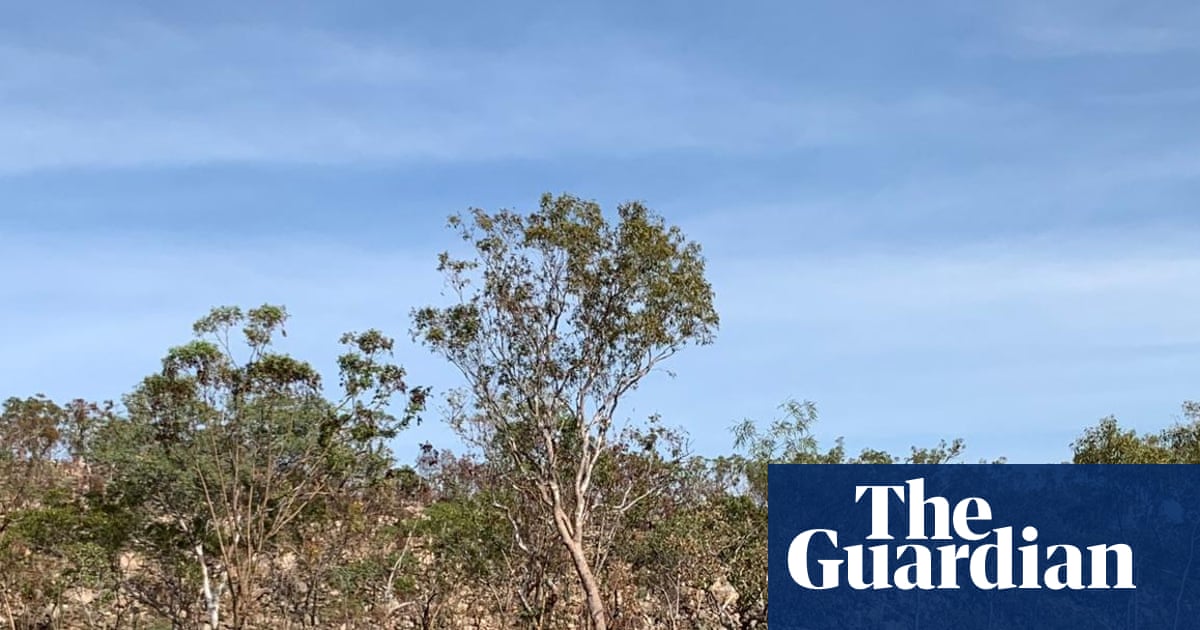 Vast and spectacular: a five-day hike to Smitt Rock and Eighth Gorge in Nitmiluk national park | Walking holidays